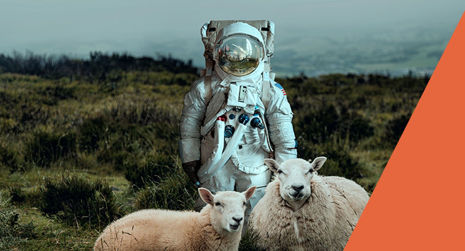 Designing for a sustainable future